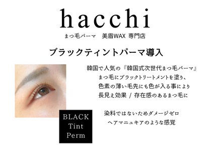 ハッチ(hacchi)の写真