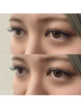 ペネロピ(Penelope)/フラットラッシュ