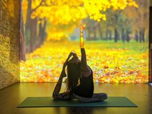 アシャンティ(YOGA Ashanhti)