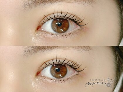 トマト(ToMoTo)の写真