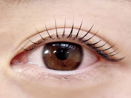 シェリーガーデンの写真