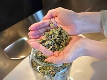 ムー 目黒区祐天寺(Muuu)/季節限定ハーブ4種(3ヶ月周期)