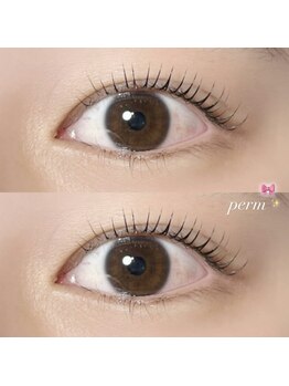 網紅/ワンホンパーマ♪