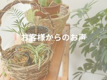 大川カイロプラクティックセンター なかのぶ整体院/お客様からの声