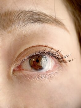 ムニ(muni)/LEDフラットラッシュ80本