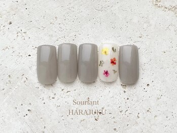 定額(S)シンプルコース