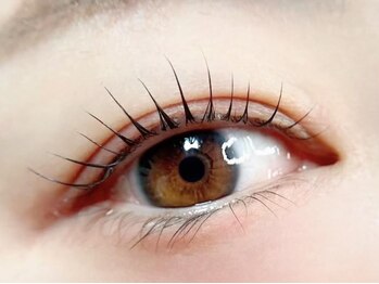 カシータ(casita)の写真/上品な目元～存在感ある目元まで幅広いデザイン&高技術で大満足◎