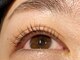 ノエル 下北沢(Noel)の写真/【上品で好印象な目元に!】マイラミネーション・フラットラッシュ・アイブロウWAXが毎月通いやすい価格で◎