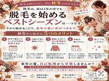 リュクゼール(Luxelle)