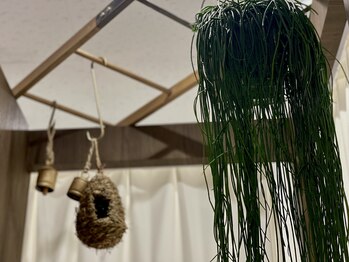 ハーバリー ハーブピーリング 岐阜(HERBERRYハーブピーリング)/ハーブピーリング専門店HERBERRY