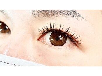 マカナニ(MAKANANI)/バインドロック100束