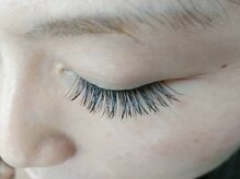 シンデレラ(CINDERELLA)/フラットラッシュ(閉)