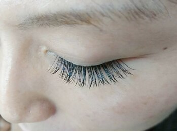 シンデレラ(CINDERELLA)/フラットラッシュ(閉)