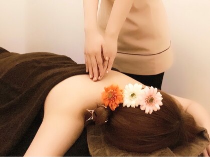 ガーベラ(Gerbera)の写真