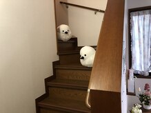 ぐーぐー/施術ルームまでの階段です。