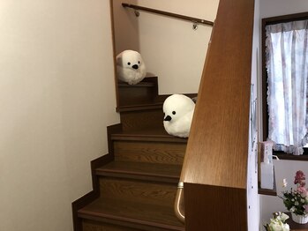 ぐーぐー/施術ルームまでの階段です。