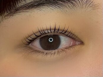 オット メメラボ(otto memelab)/