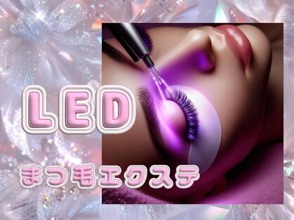 ビーティー(bT)の写真