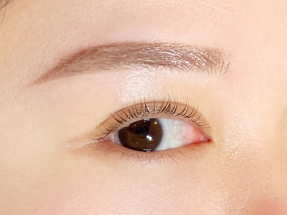 美眉アイブロウスタイリング★眉毛WAX脱毛１回　3300円 | 京橋マツパ