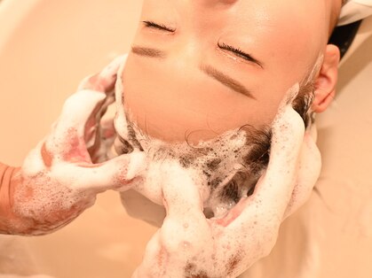 アーチ(ARCH)の写真