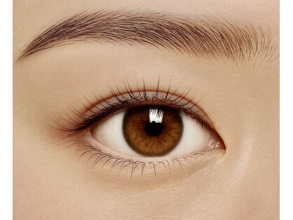 グローバルアイズ(Global Eyes)の写真