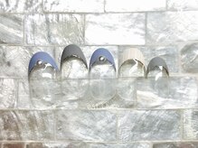 エストリブレ(estLivre)/ストライプライン