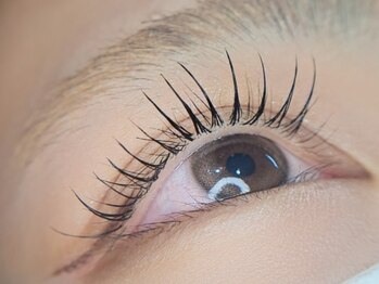 コキーユ(Coquille)/ぱっちりＤカール♪