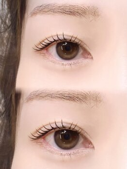 ロアブロウ 高知(LOA-brow)/立ち上げデザイン