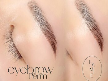 ラミー 豊橋店(Lamie)/ブロウリフト