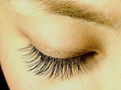 ニカ(nica)の写真