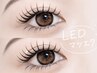 人気No3［上下LED]【モチ1.5倍以上!!LED】オフ込◎上下振り分けOK160本 ￥9900