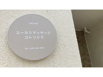 コトリドウの写真
