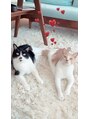 フレイヤ 銀座店(FREJA)&nbsp;どうぶつ大好きで実家で2匹猫を飼ってます &nbsp;&nbsp;