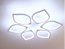 リラクゼーションスペース/メインライト｜肩甲骨/骨盤