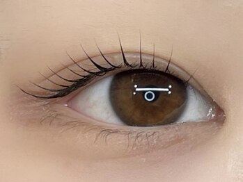 ワクシー 麻布十番店(WAXYYY.)/お任せまつ毛パーマ