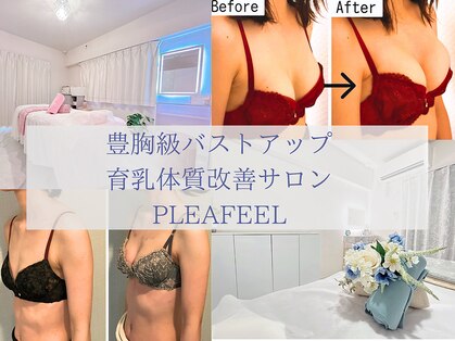 プレフィール(PLEAFEEL)の写真