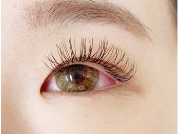 エミニーラッシュ(eminy lash)/バインドラッシュ 60束