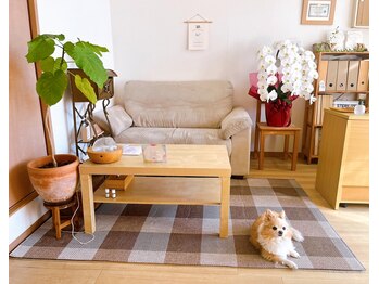 ヤコリッチ(YACORICH)/待合スペース