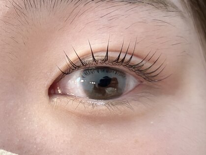 シア(sia)の写真