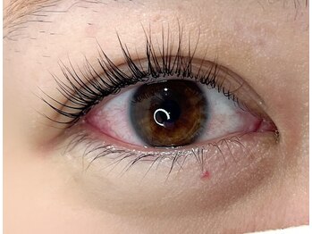 エヌプラスアイラッシュサロン(n plus eyelash salon)/立ち上げカール