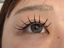 ステラ(STELLA)/バインドロック100束