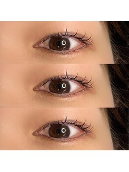 ジョリー(Jolie)/