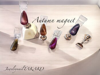 ジュエリーネイル タカコ(Jewelry nail TAKAKO)/秋色マグネットネイル