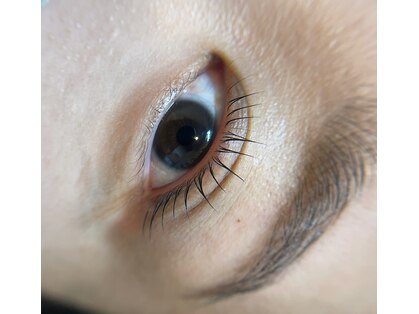 オット(otto)の写真