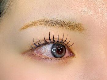 コア(Koa)/LEDエクステ100本×まつパ