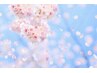 《春限定》桜オイルトリートメント60分 8,800円