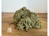 【更年期によるホルモンバランス調整】よもぎ蒸し　75分　￥8800→￥5980