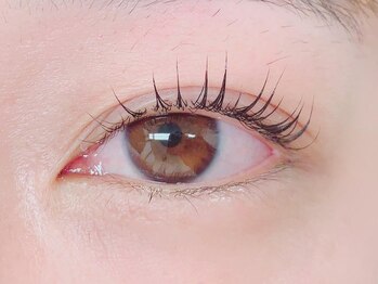 カラーリリー アンド ユン(Calla lily & yun)/まつげパーマでいつでもぱっちり