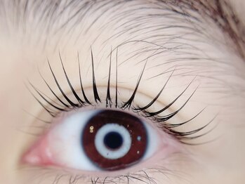 カシェ 吉野店 (cache)/まつ毛パーマ