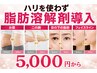 《脂肪分解剤導入》最新 針を使わない目の下の脂肪も1部位 5ml5,000円~